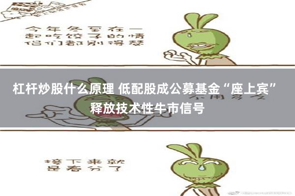 杠杆炒股什么原理 低配股成公募基金“座上宾” 释放技术性牛市信号