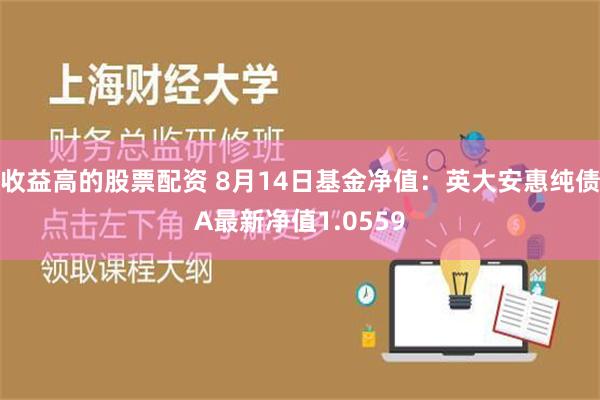 收益高的股票配资 8月14日基金净值：英大安惠纯债A最新净值1.0559