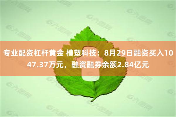 专业配资杠杆黄金 模塑科技：8月29日融资买入1047.37万元，融资融券余额2.84亿元