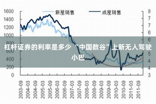 杠杆证券的利率是多少 “中国数谷”上新无人驾驶小巴