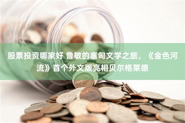 股票投资哪家好 鲁敏的塞匈文学之旅，《金色河流》首个外文版亮相贝尔格莱德