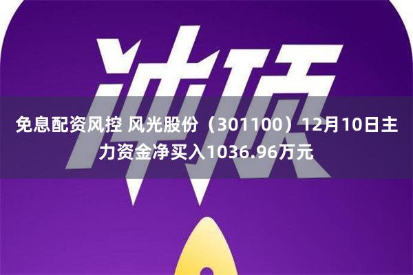 免息配资风控 风光股份（301100）12月10日主力资金净买入1036.96万元